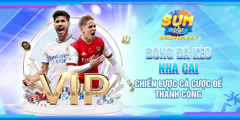 Bóng đá kèo nhà cái - Chiến lược cá cược để thành công