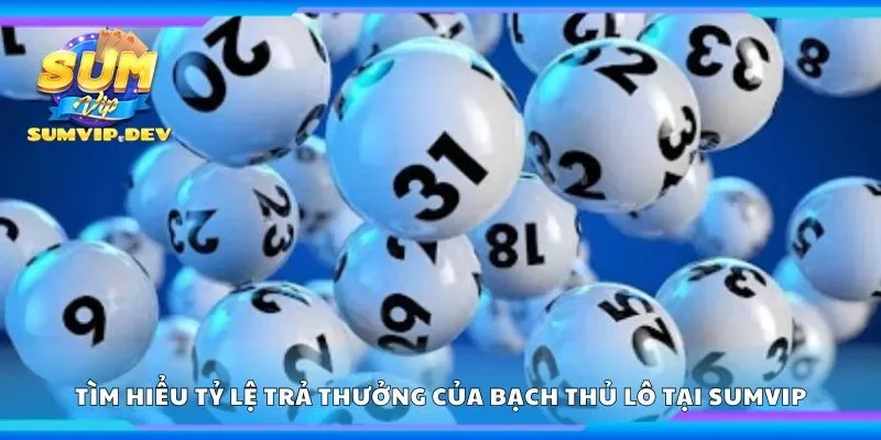 Tìm hiểu tỷ lệ trả thưởng của bạch thủ lô tại Sumvip