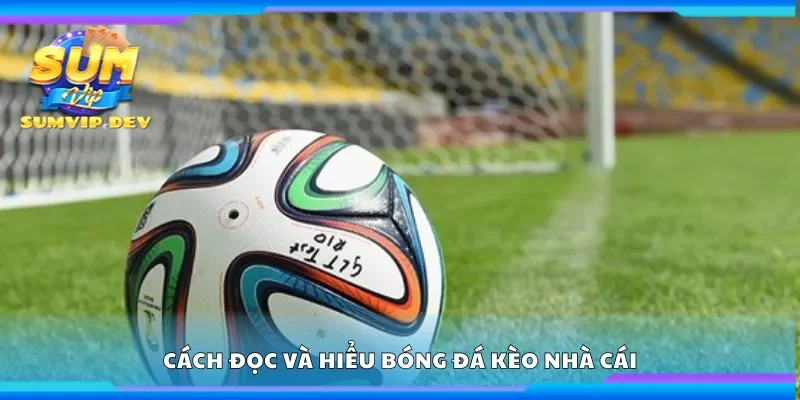 Hướng dẫn đọc và hiểu bóng đá kèo nhà cái