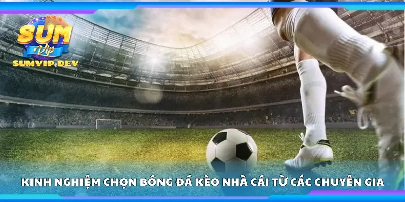 Kinh nghiệm chọn bóng đá kèo nhà cái từ các chuyên gia