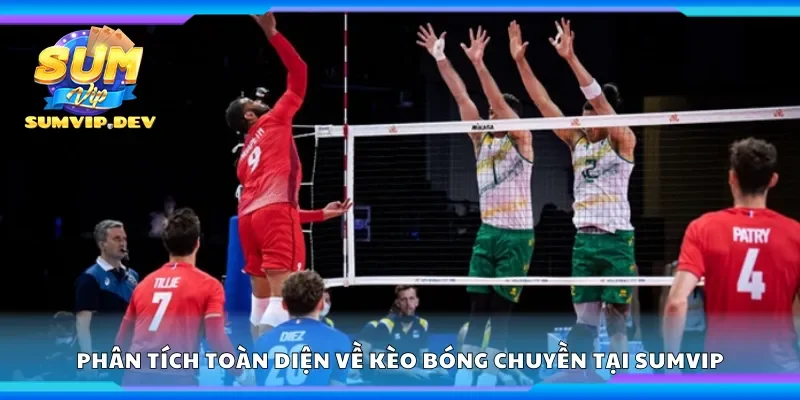 Phân tích toàn diện về kèo bóng chuyền tại Sumvip