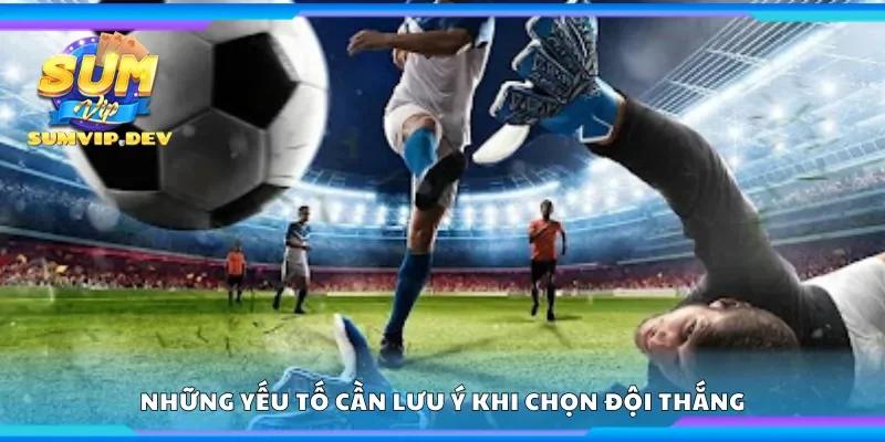 Các yếu tố cần lưu ý khi chọn đội thắng