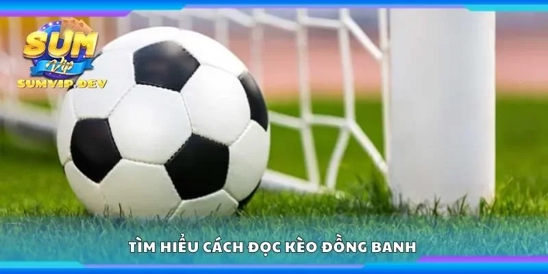 Tìm hiểu cách đọc kèo đồng banh 
