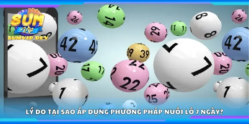 Lý do tại sao nhiều người áp dụng phương pháp nuôi lô 7 ngày?