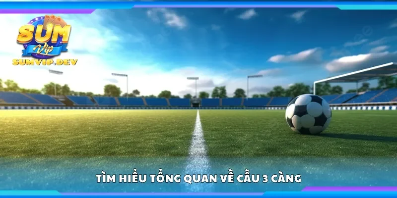 Tìm hiểu tổng quan về cầu 3 càng