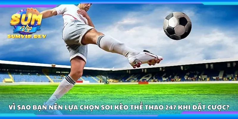 Vì sao bạn nên lựa chọn soi kèo thể thao 247 khi đặt cược?