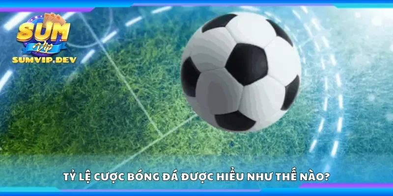 Tỷ lệ cược bóng đá được hiểu như thế nào?